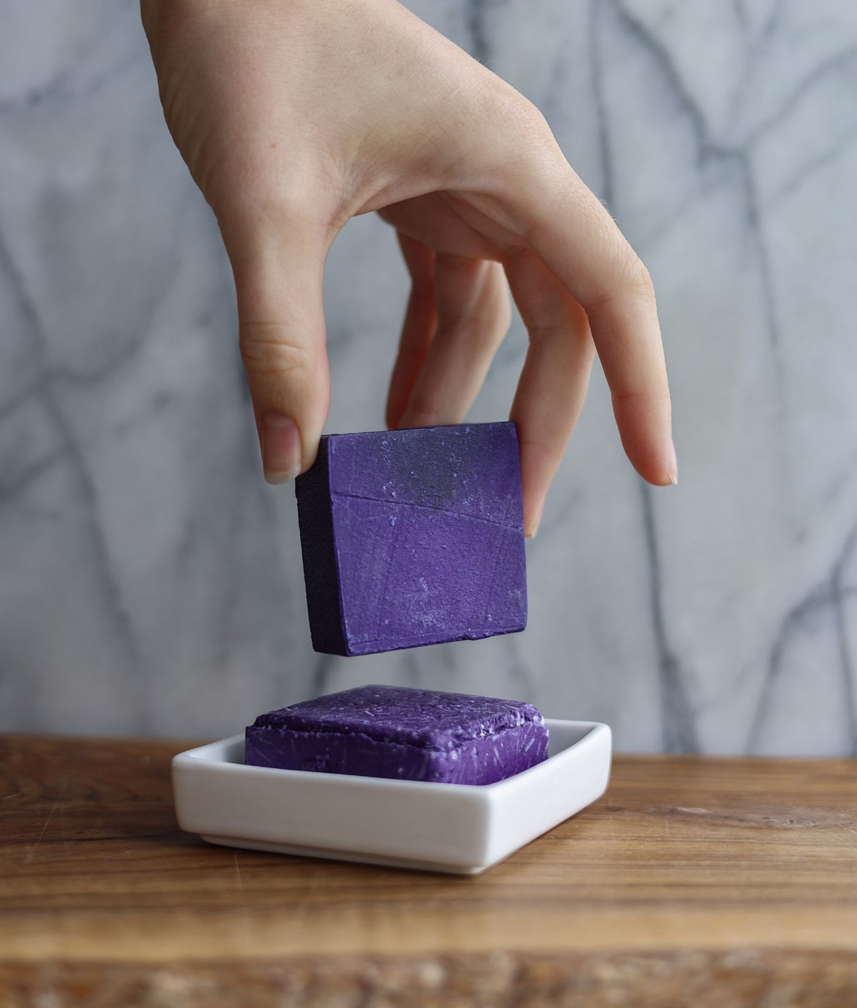 PURPLE Shampoo & Conditioner Set