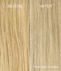 PURPLE Shampoo & Conditioner Set