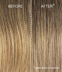 PURPLE Shampoo & Conditioner Set