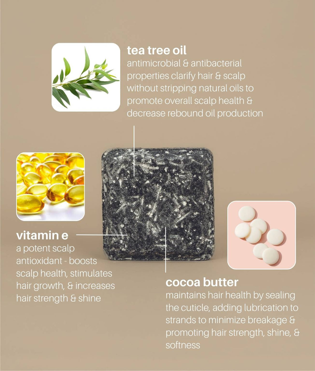 FRESH Shampoo & Conditioner Set