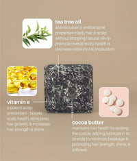 FRESH Shampoo & Conditioner Set