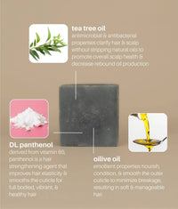 FRESH Shampoo & Conditioner Set