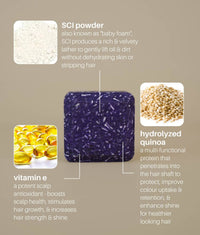 PURPLE Shampoo & Conditioner Set