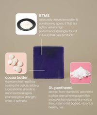 PURPLE Shampoo & Conditioner Set