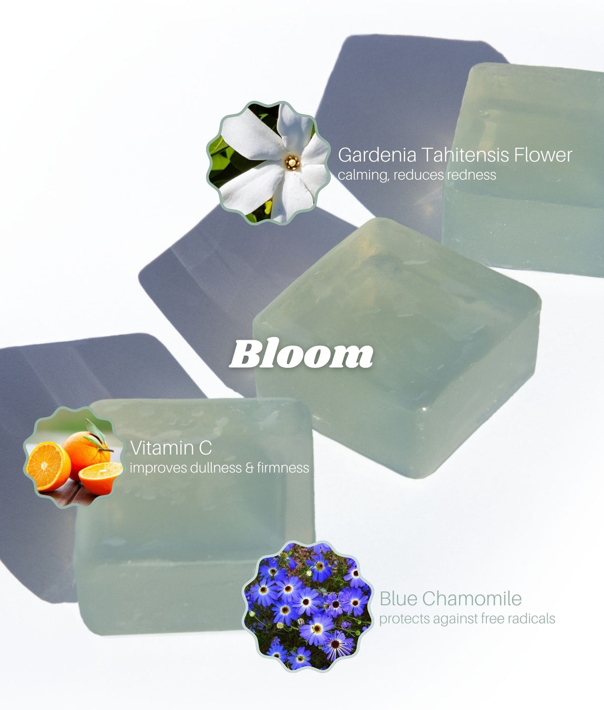 BLOOM Serum Bar