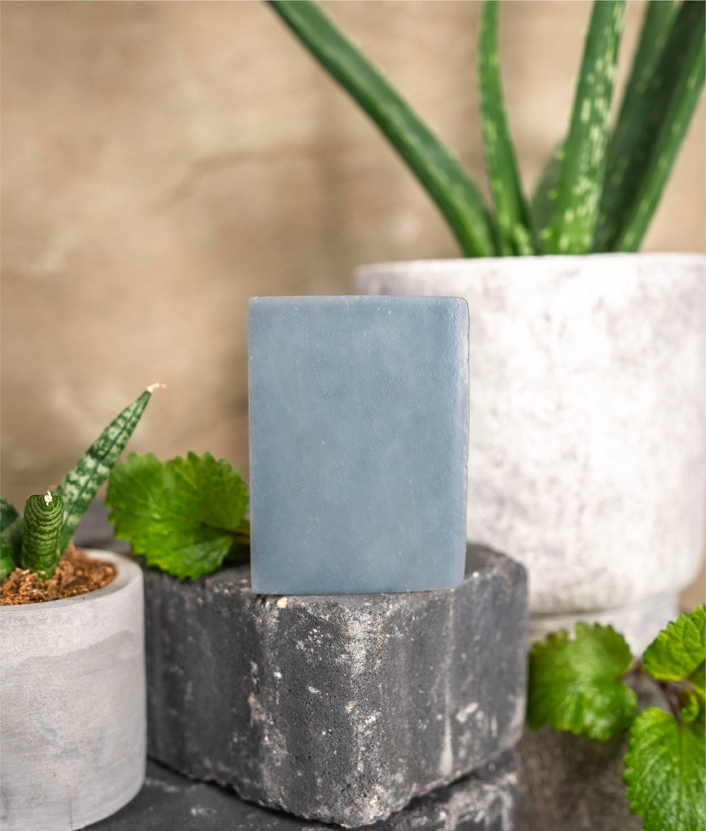 Aloe mint soap sitting on a block of concrete with two aloe plants and mint leaves