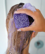 PURPLE Shampoo & Conditioner Set